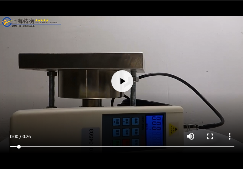 外置傳感器輪輻式測(cè)力計(jì)視頻